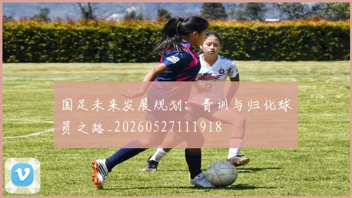 国足未来发展规划：青训与归化球员之路_20260527111918
