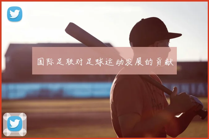 国际足联对足球运动发展的贡献